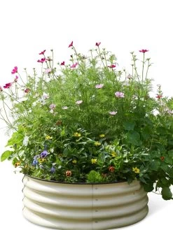 Birdies™ Round Metal Raised Bed -Gardening Sales Store 8609150 06525 tif