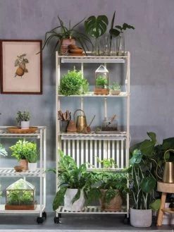 Oslo 4-Tier LED Grow Light Garden 17 Oslo 4-Tier LED Grow Light Garden -Gardening Sales Store 8609188 4118 tif