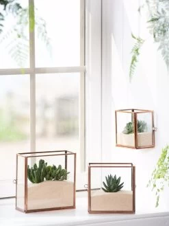 Copper And Glass Terrariums, Set Of 3