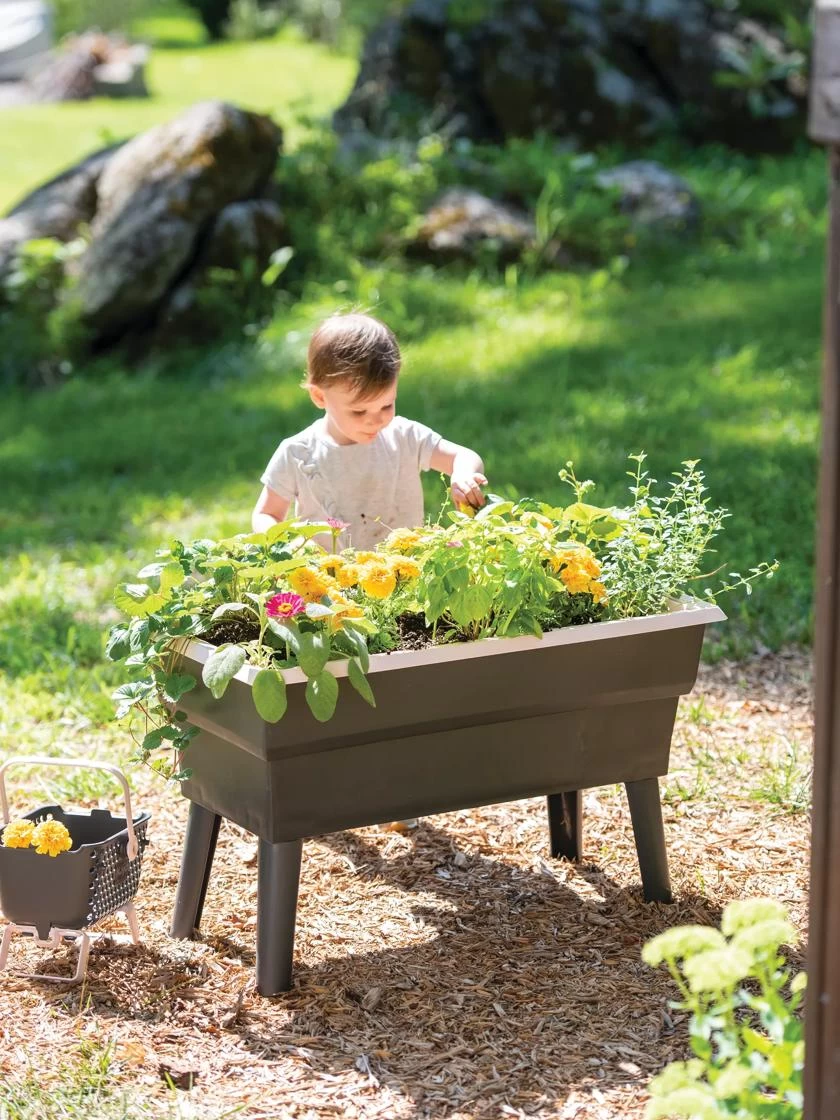 Calipso 3-in-1 Kids Gardening Self-Watering Planter Kit 1 Calipso 3-in-1 Kids Gardening Self-Watering Planter Kit