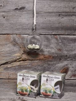Mini Blown-Glass Hanging Terrarium, Set Of 2 -Gardening Sales Store 8609218 01v