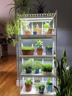 Oslo 4-Tier LED Grow Light Garden 21 Oslo 4-Tier LED Grow Light Garden -Gardening Sales Store 8609220 03IN tif