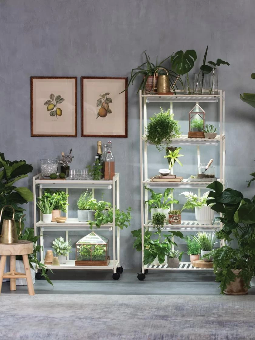 Oslo 2-Tier LED Grow Light Garden, 2 Fixtures 2 Oslo 2-Tier LED Grow Light Garden, 2 Fixtures - Image 2