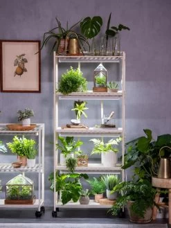 Oslo 4-Tier LED Grow Light Garden 19 Oslo 4-Tier LED Grow Light Garden -Gardening Sales Store 8609220 4116 tif