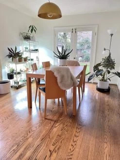 Oslo 2-Tier LED Grow Light Garden, 2 Fixtures 23 Oslo 2-Tier LED Grow Light Garden, 2 Fixtures -Gardening Sales Store 8609221 01IN tif