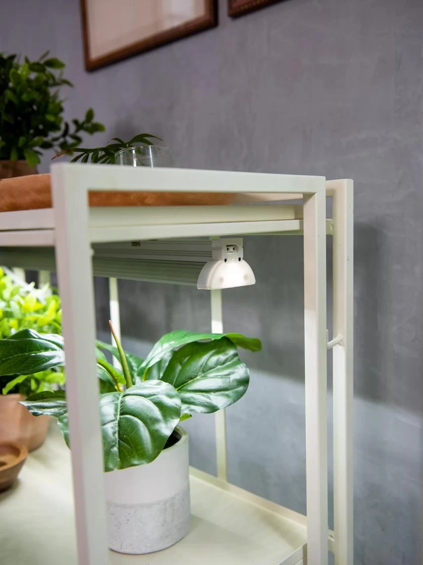 Oslo 2-Tier LED Grow Light Garden, 2 Fixtures 4 Oslo 2-Tier LED Grow Light Garden, 2 Fixtures - Image 4