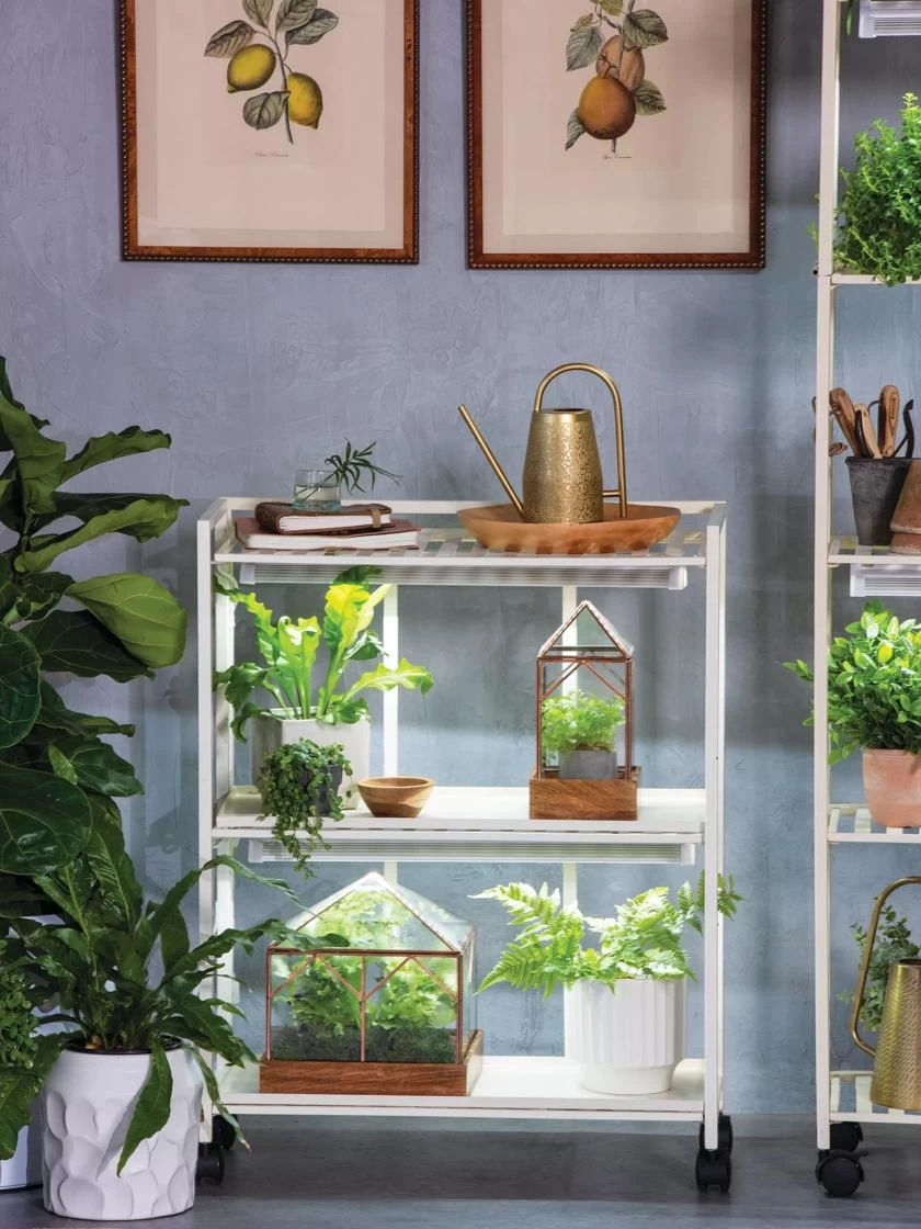 Oslo 2-Tier LED Grow Light Garden, 2 Fixtures 1 Oslo 2-Tier LED Grow Light Garden, 2 Fixtures