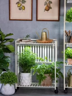 Oslo 2-Tier LED Grow Light Garden, 2 Fixtures 19 Oslo 2-Tier LED Grow Light Garden, 2 Fixtures -Gardening Sales Store 8609221 7236 tif