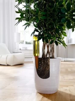 Hydro Wine Container Watering System, Set Of 4 -Gardening Sales Store 8609224 04V tif