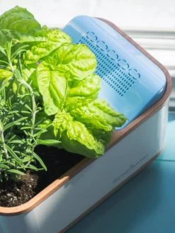 Dewplanter -Gardening Sales Store 8609512 04V