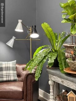 Adjustable 3-Arm Grow Lamp -Gardening Sales Store 8609868 01IN tif