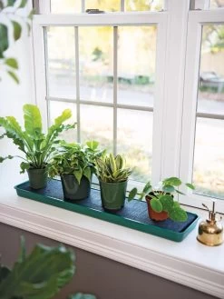 Self-Watering Windowsill Tray -Gardening Sales Store 8609873 9011 tif