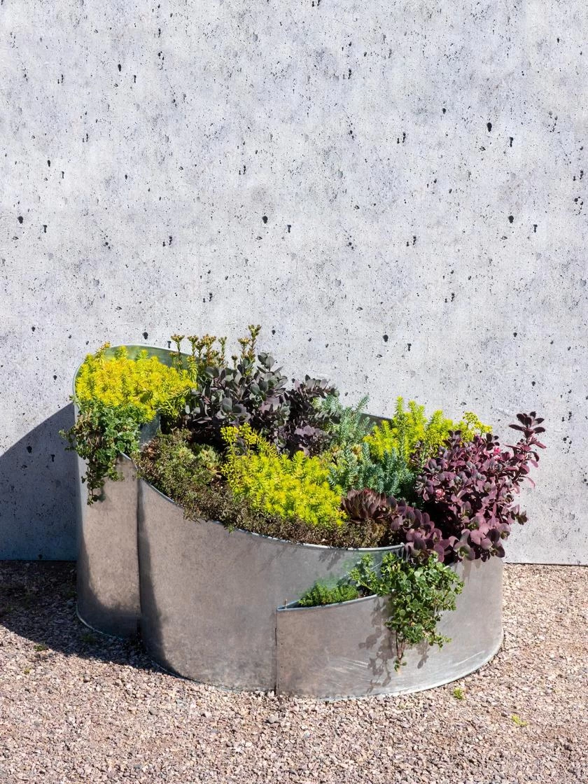 Curved Metal Raised Bed 2 Curved Metal Raised Bed - Image 2