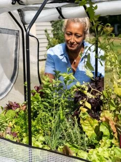 VegTrug®Patio Garden Greenhouse Cover Kit -Gardening Sales Store 8610172 1256