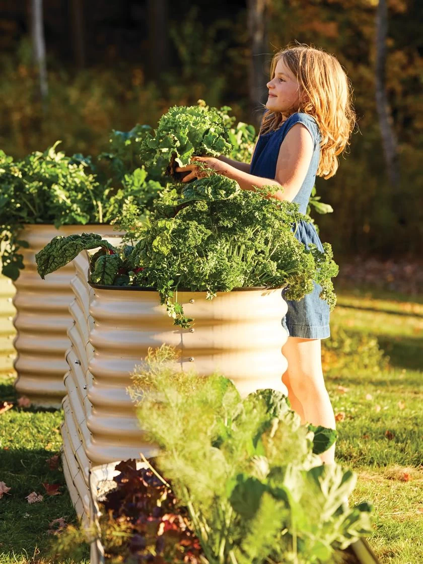 Birdies™ Modular Metal Raised Bed, Tall 5 Birdies™ Modular Metal Raised Bed, Tall - Image 5