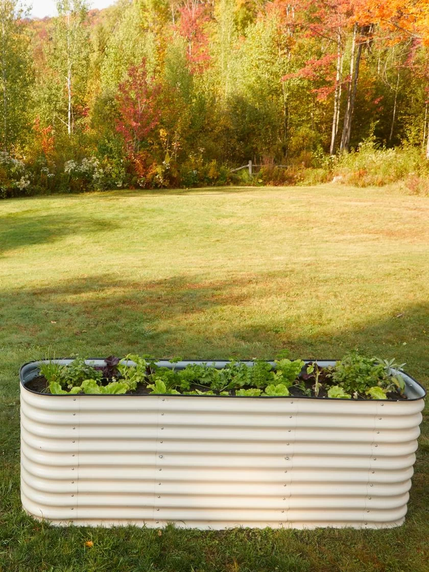Birdies™ Modular Metal Raised Bed, Tall 3 Birdies™ Modular Metal Raised Bed, Tall - Image 3