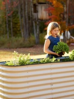 Birdies™ Modular Metal Raised Bed, Tall 10 Birdies™ Modular Metal Raised Bed, Tall -Gardening Sales Store 8610174 5015 tif
