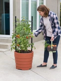 Gardener’s Victory Self-Watering Planter Garden Kit -Gardening Sales Store 8610239 06002 tif