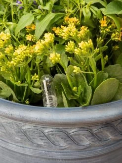 Adjustable Self-Watering Insert For Pots And Planters -Gardening Sales Store 8610250 0010 tif