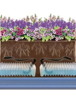 Adjustable Self-Watering Insert For Pots And Planters -Gardening Sales Store 8610250 SWInsert art Trough tif