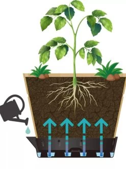 VegTrug® Build-a-Barrel Wooden Planter With Self-Watering Reservoir Tray, 18" 9 VegTrug® Build-a-Barrel Wooden Planter With Self-Watering Reservoir Tray, 18" -Gardening Sales Store 8610253 05V tif