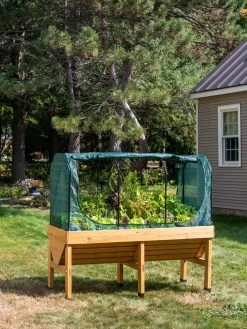 VegTrug® Patio Garden Shade Cover -Gardening Sales Store 8610408 8357 tif