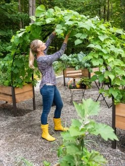 2’ X 8’ Arch Trellis For Planter Boxes -Gardening Sales Store 8610798 050 tif