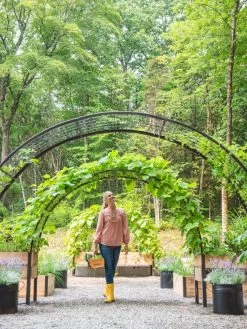 2’ X 8’ Arch Trellis For Planter Boxes -Gardening Sales Store 8610798 071 tif