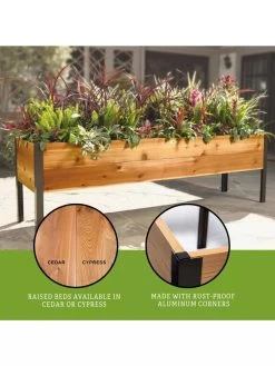 Elevated Planter Box, 2' X 8' -Gardening Sales Store 8610895 3