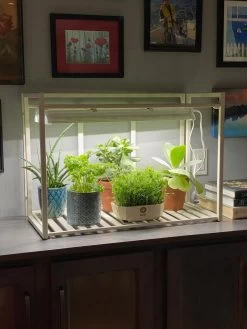 Oslo 1-Tier LED Grow Light Garden 12 Oslo 1-Tier LED Grow Light Garden -Gardening Sales Store 8611002 01IN tif