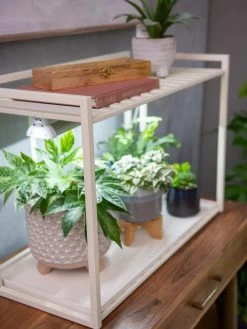 Oslo 1-Tier LED Grow Light Garden 11 Oslo 1-Tier LED Grow Light Garden -Gardening Sales Store 8611002 2002 tif