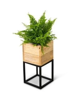 Tartu Elevated Square Planters 17 Tartu Elevated Square Planters -Gardening Sales Store 8611004 038