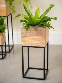 Tartu Elevated Square Planters 13 Tartu Elevated Square Planters -Gardening Sales Store 8611005 035