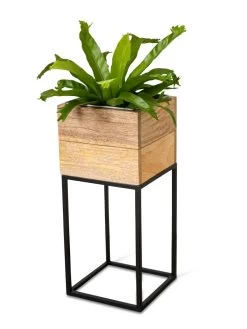 Tartu Elevated Square Planters 18 Tartu Elevated Square Planters -Gardening Sales Store 8611005 036