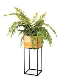 Tartu Elevated Square Planters 16 Tartu Elevated Square Planters -Gardening Sales Store 8611006 033