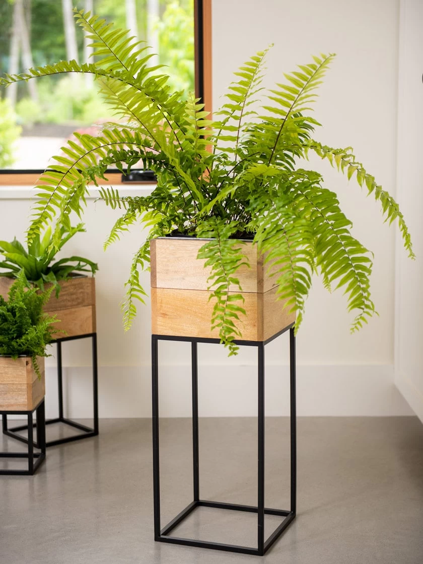 Tartu Elevated Square Planters 2 Tartu Elevated Square Planters - Image 2