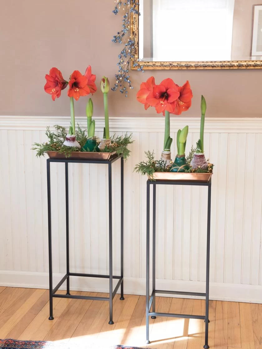 Square Nesting Plant Stands With Trays, Set Of 2 1 Square Nesting Plant Stands With Trays, Set Of 2