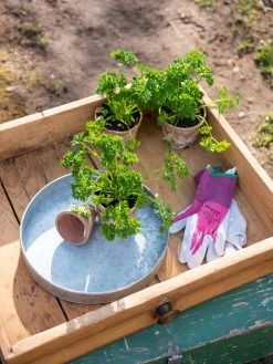 Gardening Sales Store -Gardening Sales Store 8611075 033