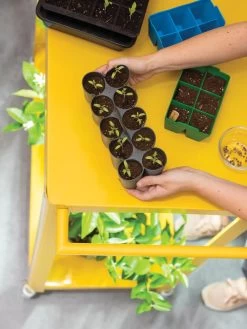 Sili-Seedlings® Seedling Tray, 10-Cell 9 Sili-Seedlings® Seedling Tray, 10-Cell -Gardening Sales Store 8611886 374 tif