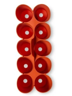 Sili-Seedlings® Seedling Tray, 10-Cell 10 Sili-Seedlings® Seedling Tray, 10-Cell -Gardening Sales Store 8611886 3821 tif