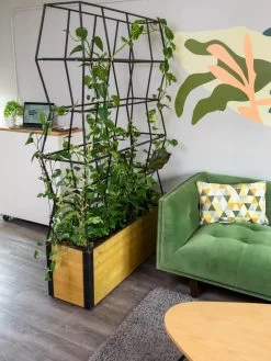 Self-Watering Partition Planter 8 Self-Watering Partition Planter -Gardening Sales Store 8611952 001 tif