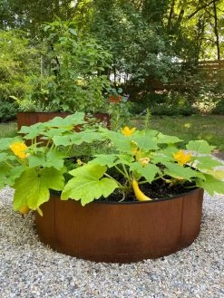 Birdies™ Corten Steel Round Raised Beds 9 Birdies™ Corten Steel Round Raised Beds -Gardening Sales Store 8612422 0484 tif