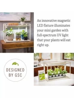 Tabletop Grow Kit 11 Tabletop Grow Kit -Gardening Sales Store 8612507 4