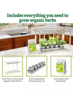 Tabletop Grow Kit 13 Tabletop Grow Kit -Gardening Sales Store 8612507 6