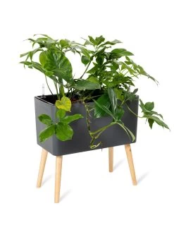 Ava Self-Watering Rectangular Planter -Gardening Sales Store 8612691 0013