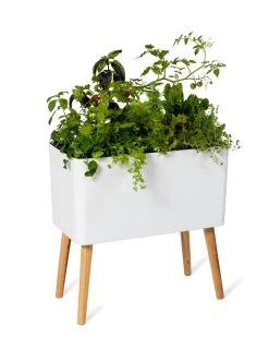 Ava Self-Watering Rectangular Planter -Gardening Sales Store 8612691 0014