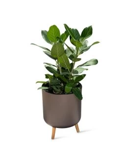 Ava Self-Watering Round Planter -Gardening Sales Store 8612692 0003