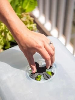 Self-Watering Standing Salad Planter With Cloche -Gardening Sales Store 8612702 2034 tif