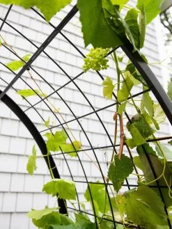 2’ X 4’ Arch Trellis For Planter Boxes -Gardening Sales Store 8612976 0436