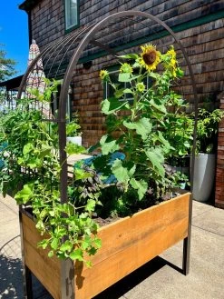Self-Watering Elevated Planter Box, 2' X 4' -Gardening Sales Store 8612976 11TEST tif 2